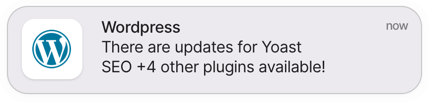 Update notification from Wordpress